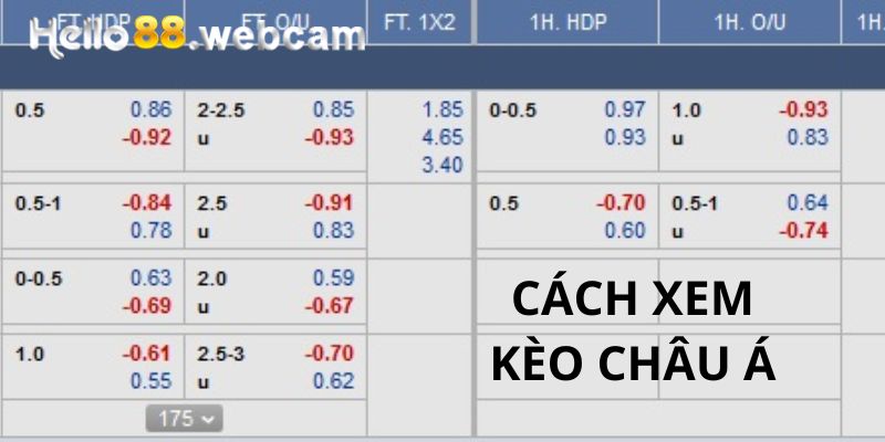 Cách xem tỷ lệ cá cược bóng đá trực tuyến kèo châu Á