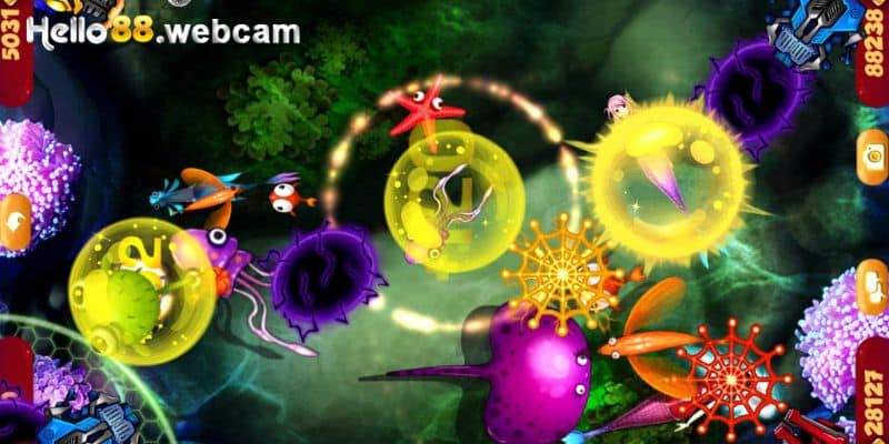 Đừng nên quá tập trung săn cá boss lớn trong game