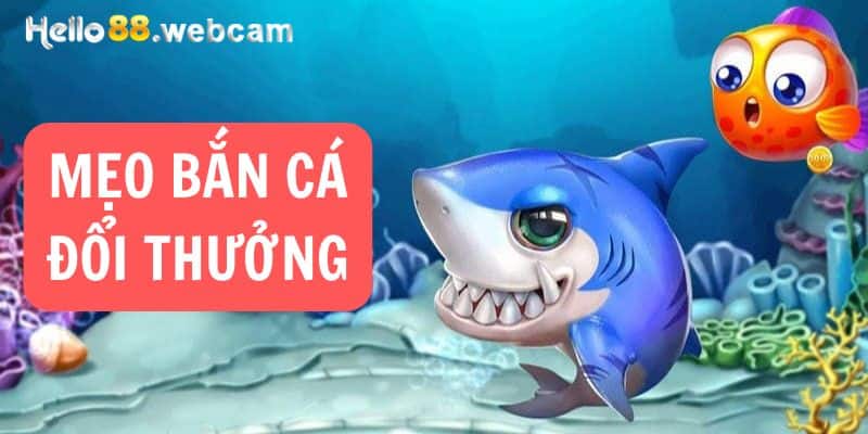 Tổng Hợp 4+ Mẹo Bắn Cá Đổi Thưởng Đỉnh Nhất Từ Cao Thủ